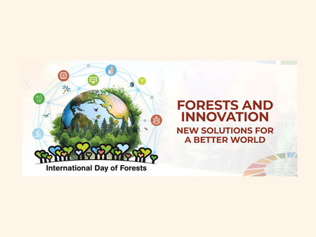 Der von der FAO ausgerufenen Tag des Waldes steht dieses Jahr unter dem Motto „Wälder und Innovation“. Damit soll auf den Nutzen technischer Innovationen im Wald aufmerksam gemacht werden. Bild: FAO