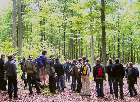 Naturbewusstsein und Interesse am Wald wachsen – und damit auch die Anforderungen an die Kommunikationsfähigkeit der Forstmitarbeiter. In einem BMEL-geförderten Projekt entstand ein Qualifizierungsangebot, das die Alltagskommunikation im Forst optimiert. Foto: FNR/Marcus Kühling