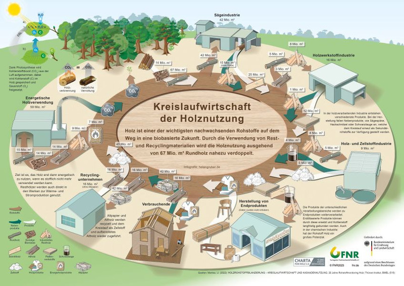 Kreislaufwirtschaft der Holznutzung als Grafik und als Poster. Quelle: FNR/2023
