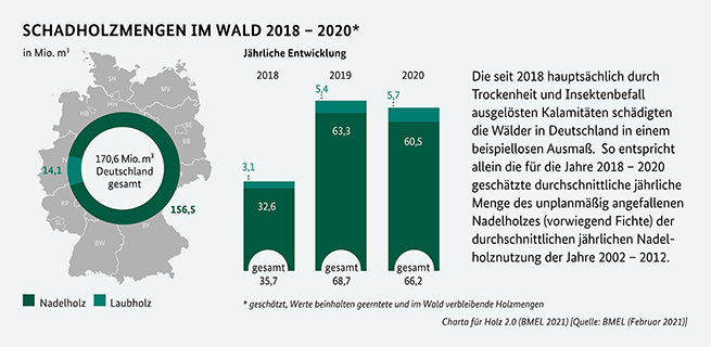 Schadholzmengen im Wald 2018 - 2020