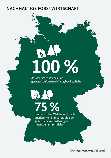 Der deutsche Wald - Bewirtschaftung und Zertifizierung