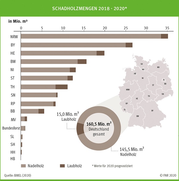 Grafik Schadholzmengen 2018-2020. Quelle: BMEL/FNR 2020